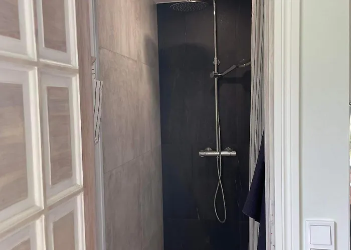 Daisy House Papsaare